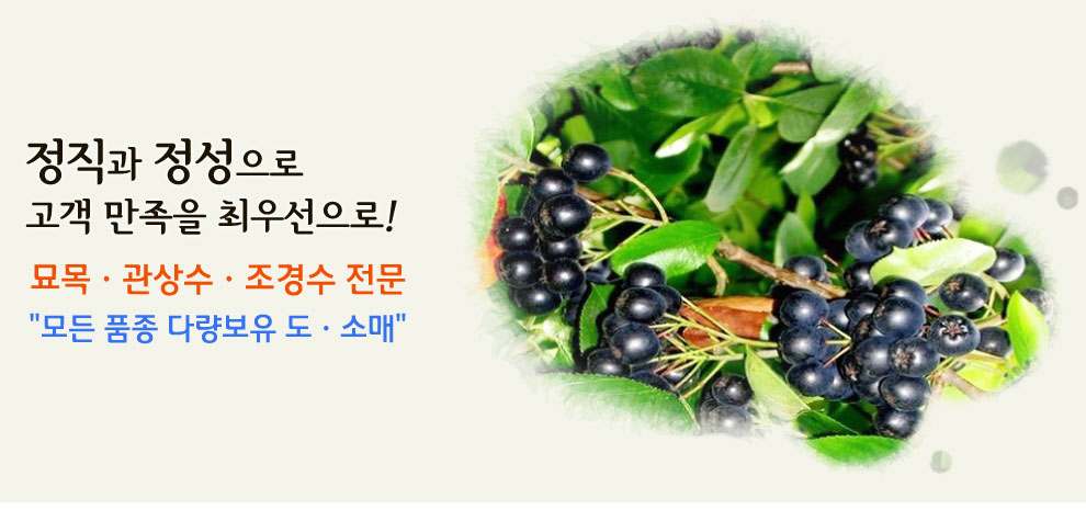 슬라이드 이미지