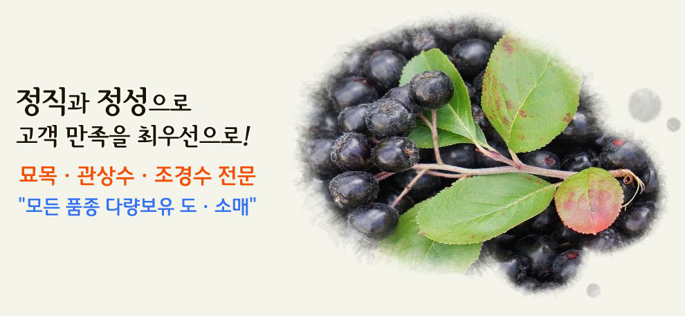 슬라이드 이미지