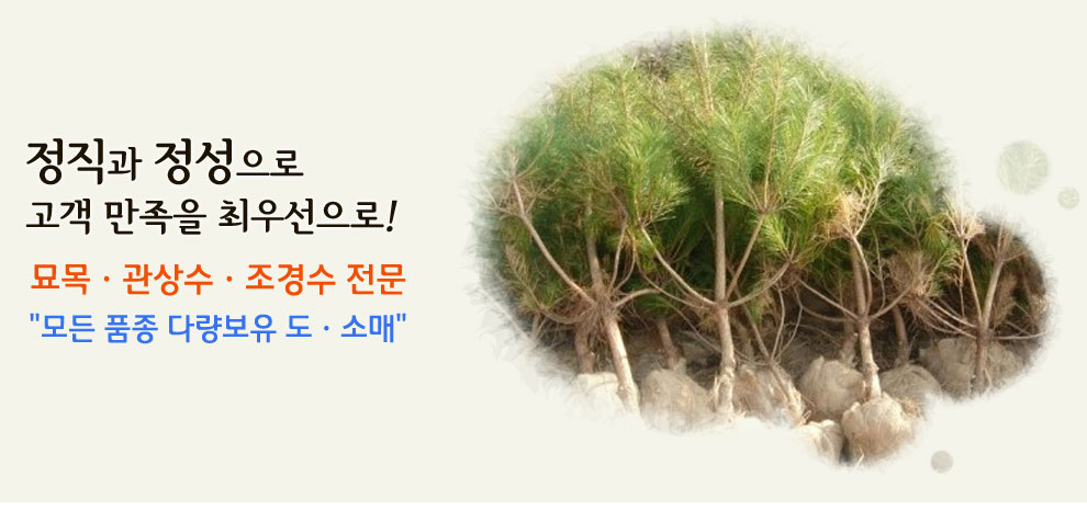 슬라이드 이미지